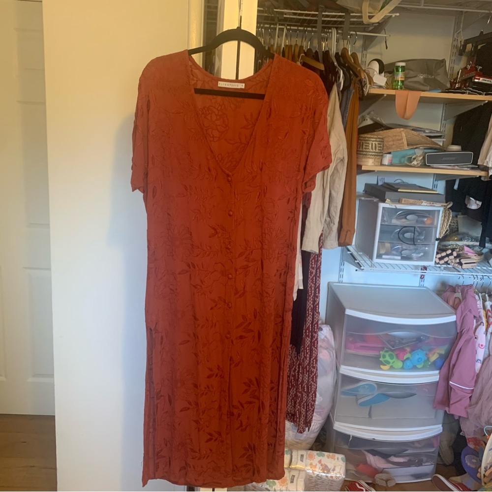Flynn Skye rust embroidered dress